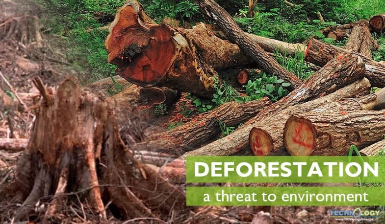 Most countries of the world are seriously facing the problem of deforestation 