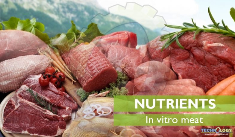 vitro meat