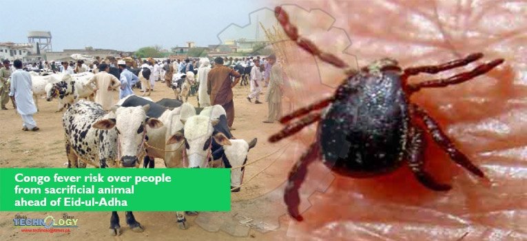 congo fever risk ahead of Eid-ul-Adha