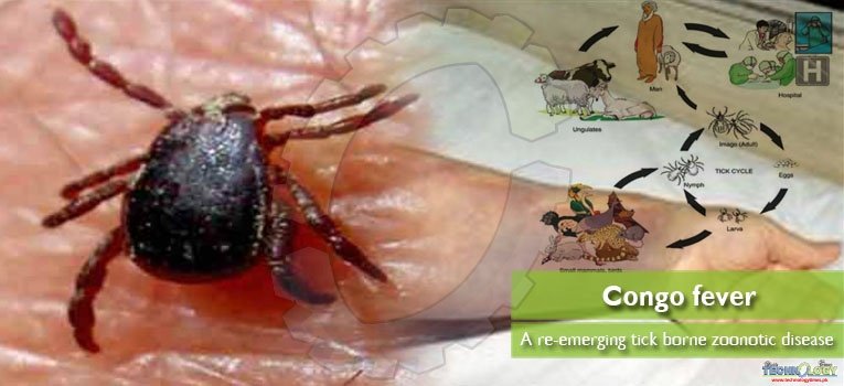 Crimean-Congo Hemorrhagic Fever: A re-emerging tick borne zoonotic disease