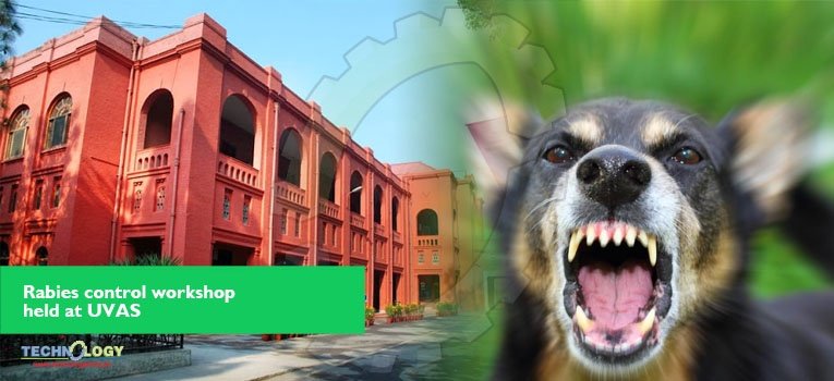 University of Veterinary & Animal Sciences Rabies Workshop