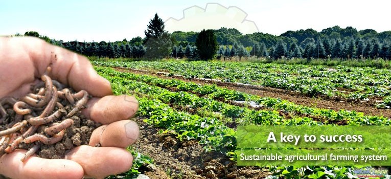 Sustainable agricultural farming system A key to success