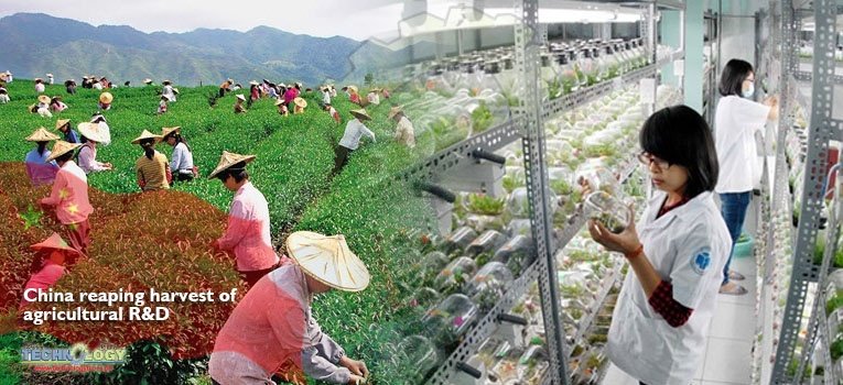 China reaping harvest of agricultural R&D