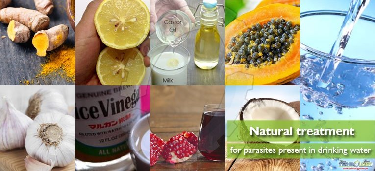 Natural treatment for parasites present in drinking water