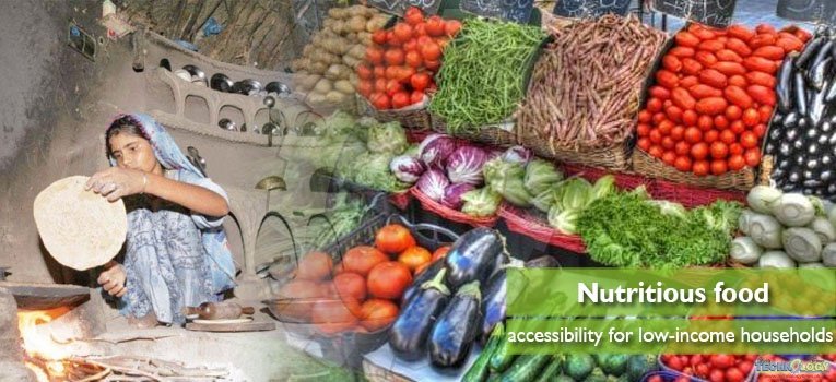 Nutritious food accessibility for low-income households