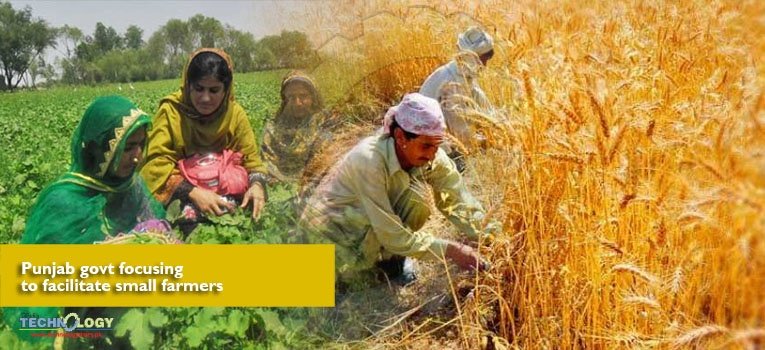 Punjab govt focusing to facilitate small farmers