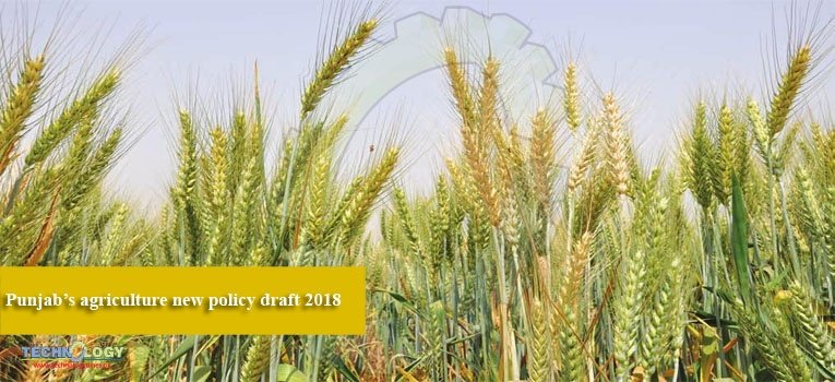 Punjab’s agriculture new policy draft 2018