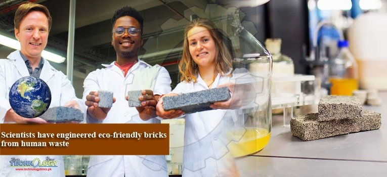 Scientists have engineered eco-friendly bricks from human waste