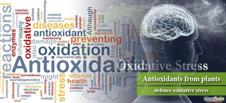 Antioxidants from plants - defence oxidative stress