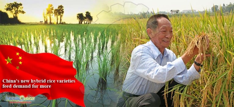 China's new hybrid rice varieties feed demand for more