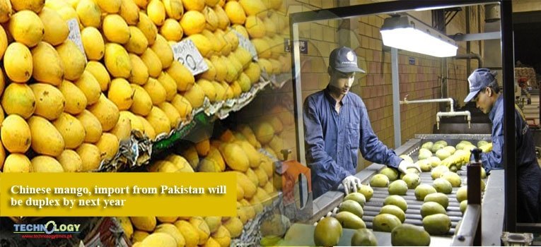 Chinese mango, import from Pakistan will be duplex by next year