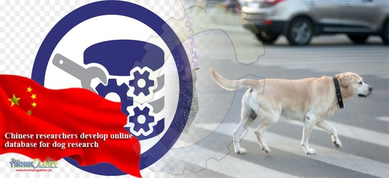 Chinese researchers develop online database for dog research