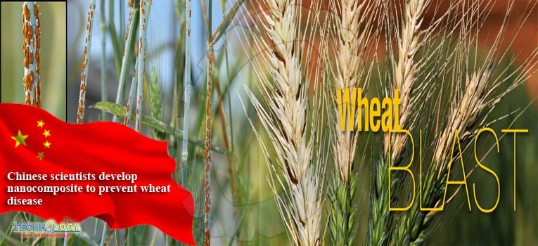 Chinese scientists develop nanocomposite to prevent wheat disease