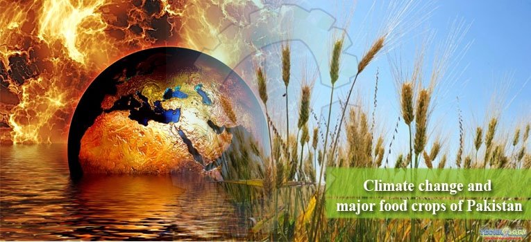 Climate change and major food crops of Pakistan