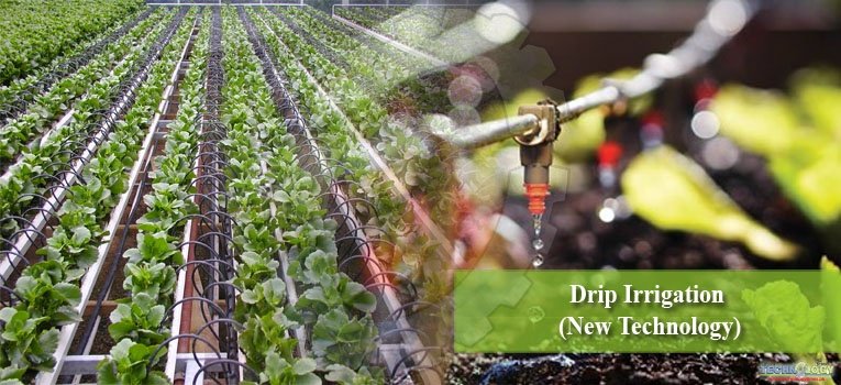 Drip Irrigation (New Technology)
