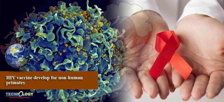 HIV vaccine develop for non-human primates