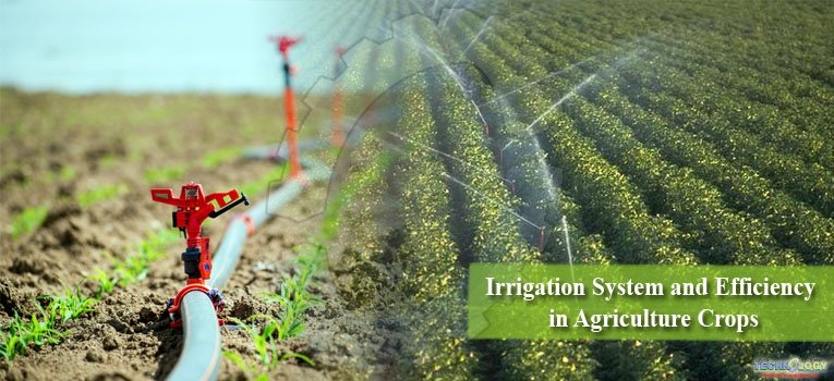 Irrigation System and Efficiency in Agriculture Crops