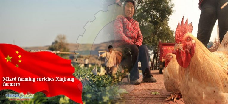 Mixed farming enriches Xinjiang farmers