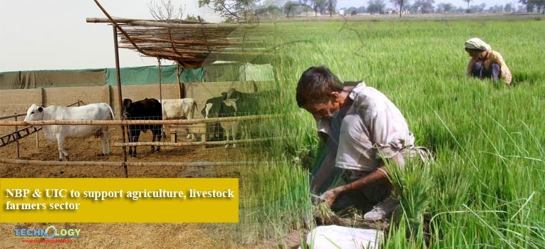 NBP & UIC to support agriculture, livestock farmers sector