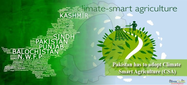 Pakistan has to adopt Climate Smart Agriculture (CSA)