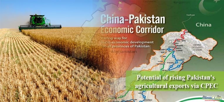 Potential of rising Pakistan's agricultural exports via CPEC
