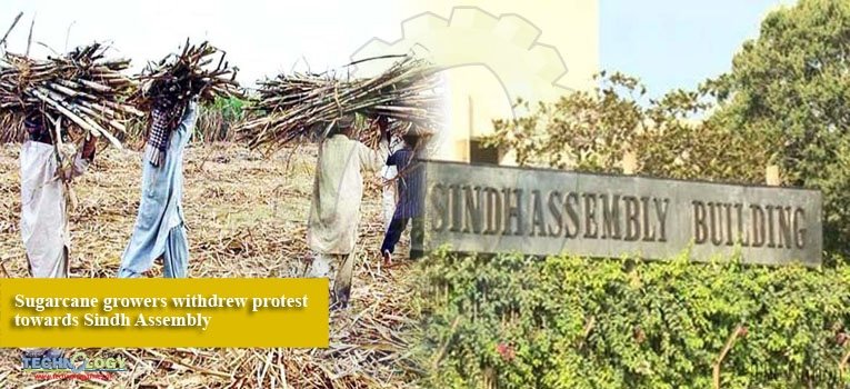 Sugarcane growers withdrew protest towards Sindh Assembly