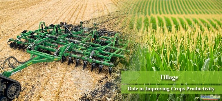 Tillage Role in Improving Crops Productivity