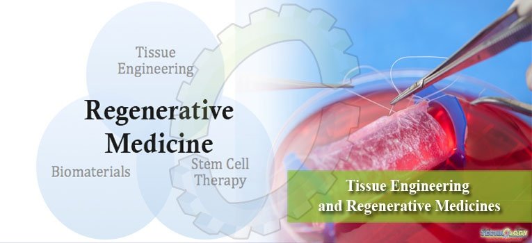 Tissue Engineering and Regenerative Medicines