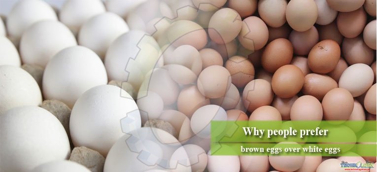 Why people prefer brown eggs over white eggs