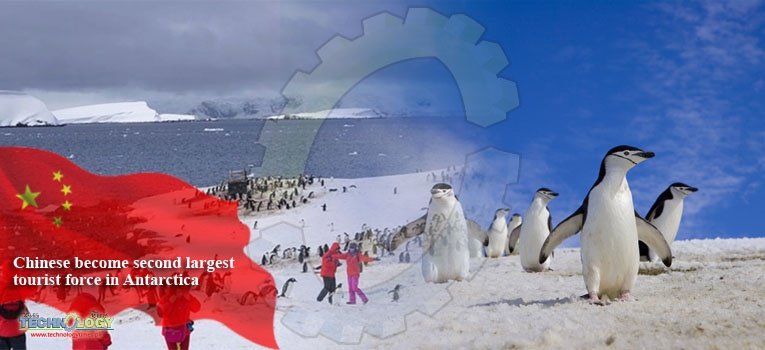 Chinese become second largest tourist force in Antarctica