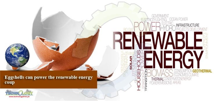 Eggshells can power the renewable energy coup