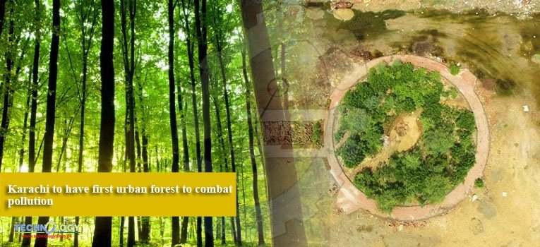 Karachi to have first urban forest to combat pollution