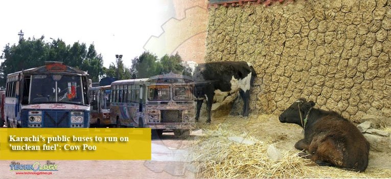 Karachi’s public buses to run on 'unclean fuel': Cow Poo
