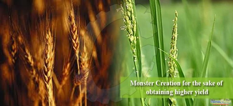 Monster Creation for the sake of obtaining higher yield