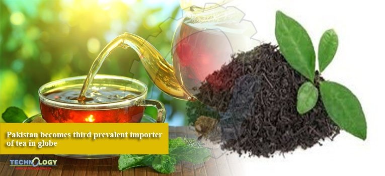 Pakistan becomes third prevalent importer of tea in globe
