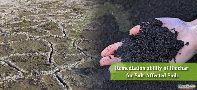 Remediation ability of Biochar for Salt-Affected Soils