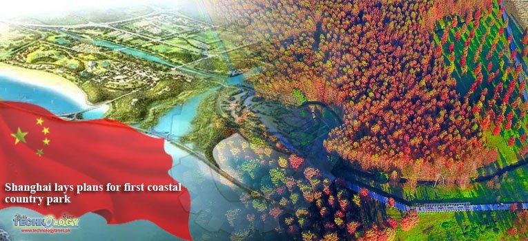 Shanghai lays plans for first coastal country park