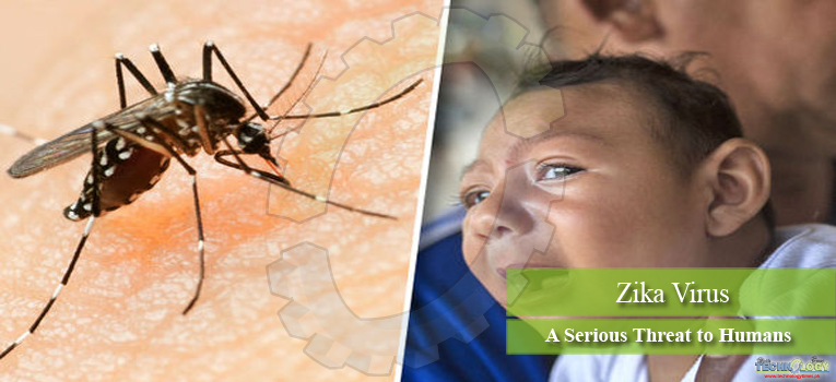 Zika Virus A Serious Threat to Humans