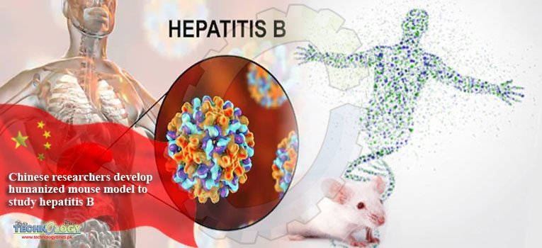 Chinese researchers develop humanized mouse model to study hepatitis B