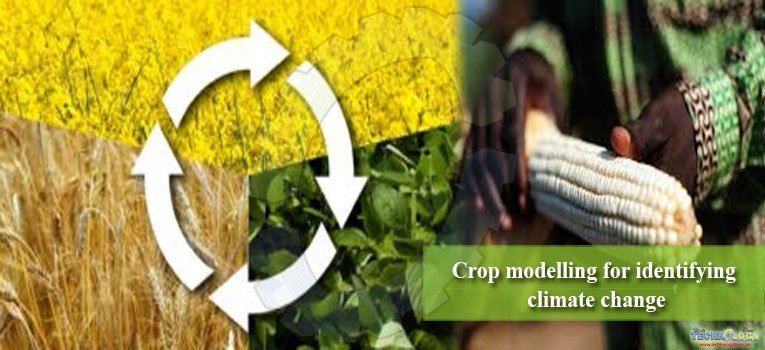 Crop modelling for identifying climate change