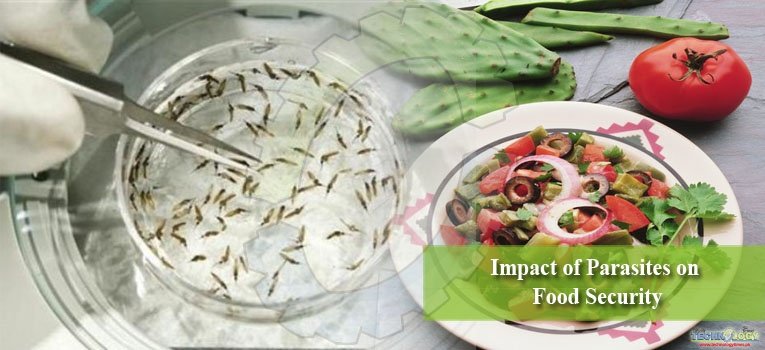 Impact of Parasites on Food Security