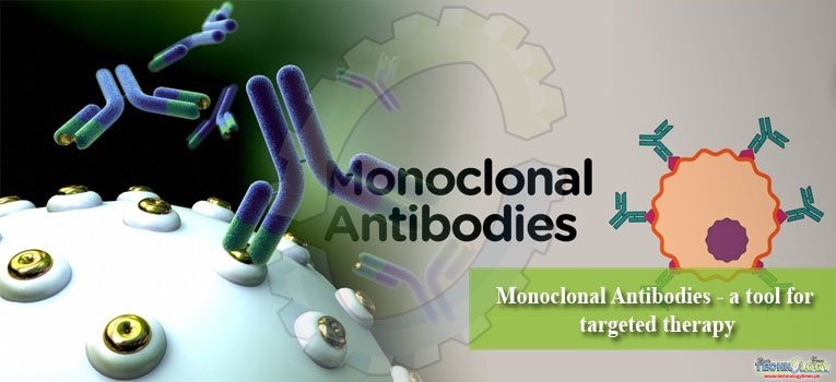 Monoclonal Antibodies - a tool for targeted therapy