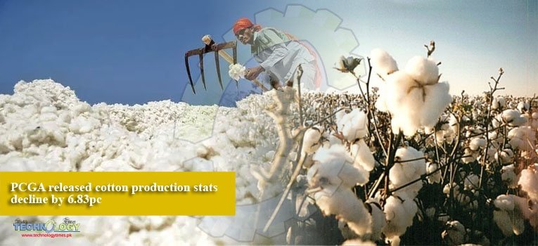 PCGA released cotton production stats decline by 6.83pc