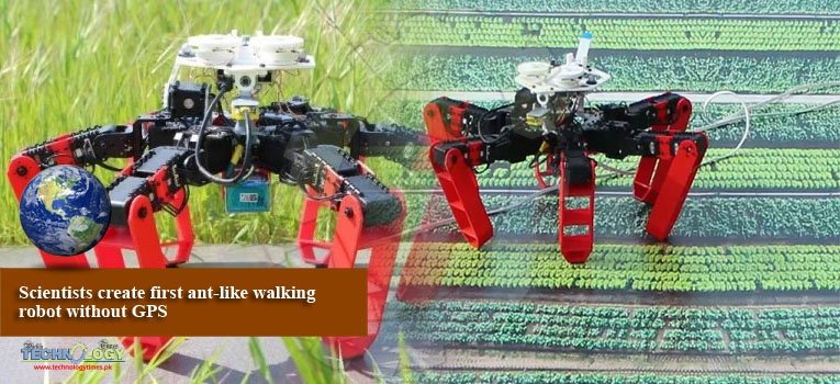 Scientists create first ant-like walking robot without GPS