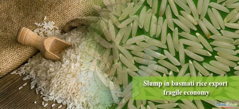 Slump in basmati rice export fragile economy
