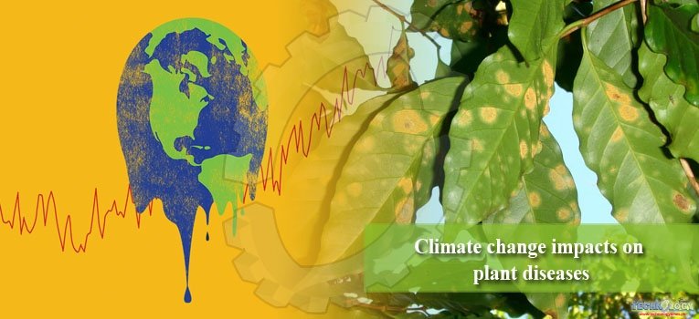 Climate change impacts on plant diseases