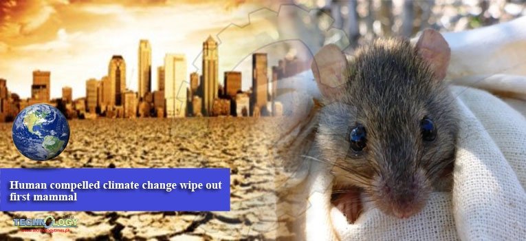 Human compelled climate change wipe out first mammal