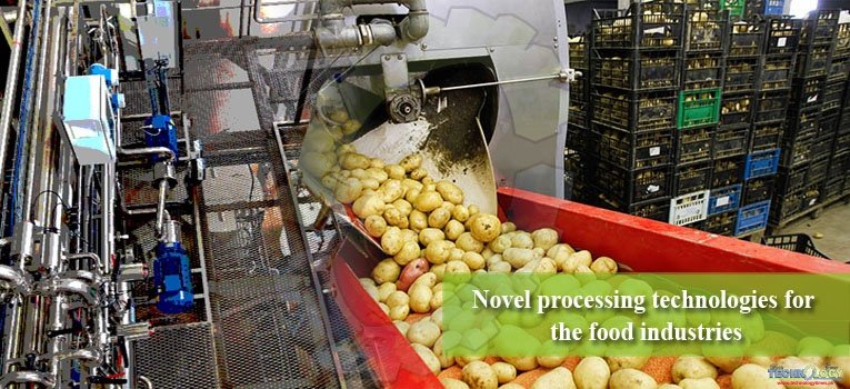 Novel processing technologies for the food industries