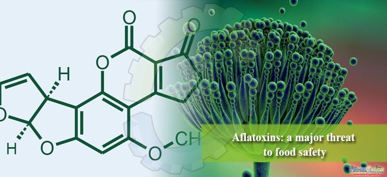Aflatoxins: a major threat to food safety