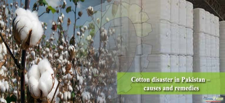 Cotton disaster in Pakistan – causes and remedies